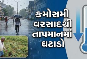 Rain Alert