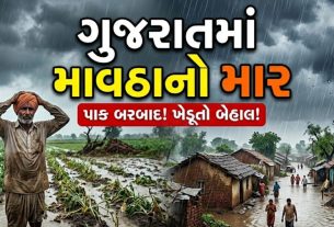 Rain Alert