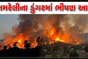 Hill Fire