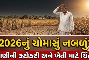 Gujarat Rain