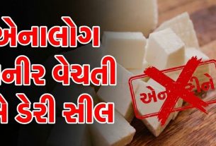 Analogues Paneer