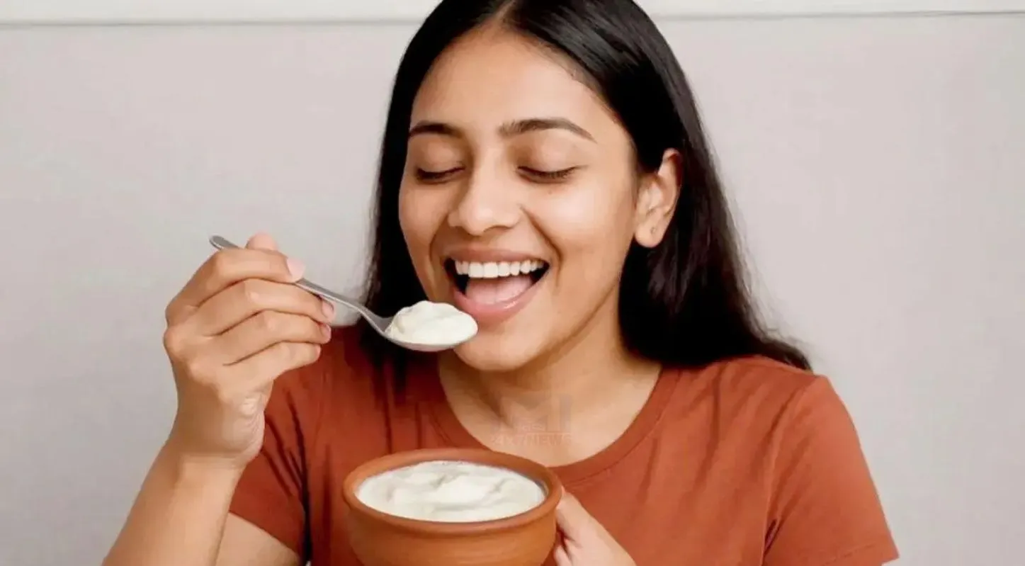 Sour Curd, ઉનાળા, ગરમી, દહીં ખાટું, ટ્રિક્સ