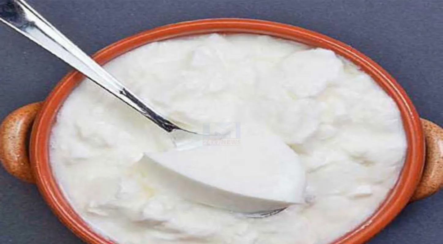Sour Curd, ઉનાળા, ગરમી, દહીં ખાટું, ટ્રિક્સ