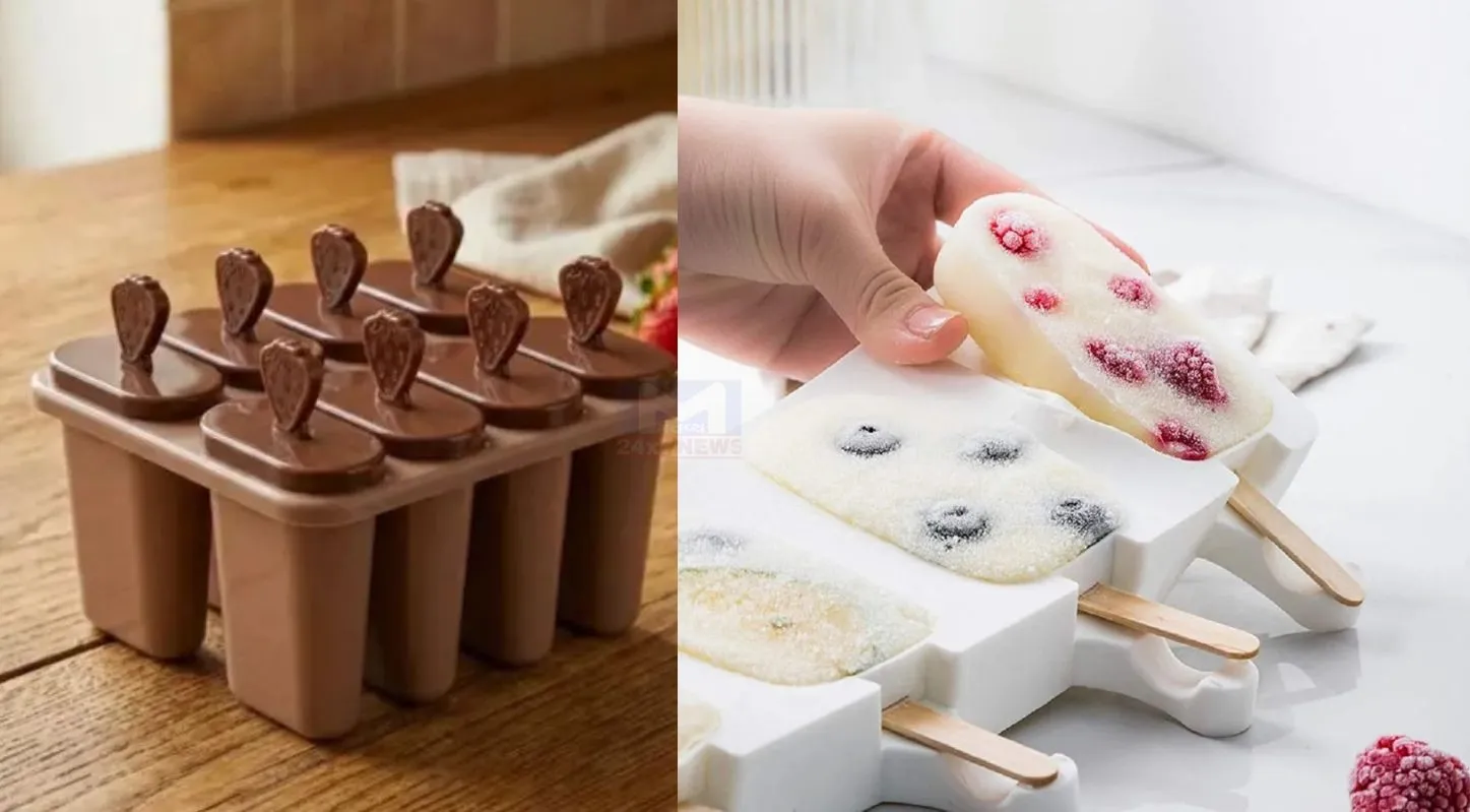 Rice Ice Cream, વધેલા ભાત, શેતૂર, ભાતનો આઇસક્રીમ, ઉનાળા