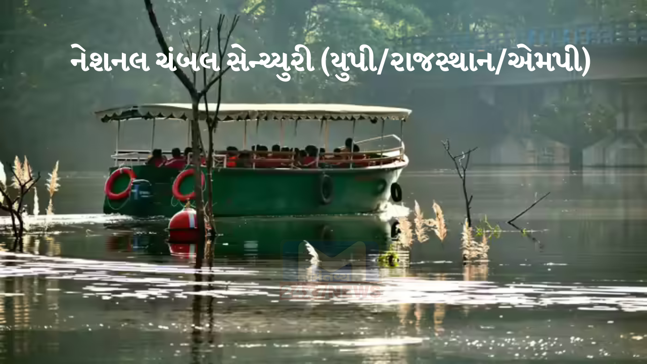 ભારતની 5 શ્રેષ્ઠ 'રિવર એન્ડ બોટ Safari '