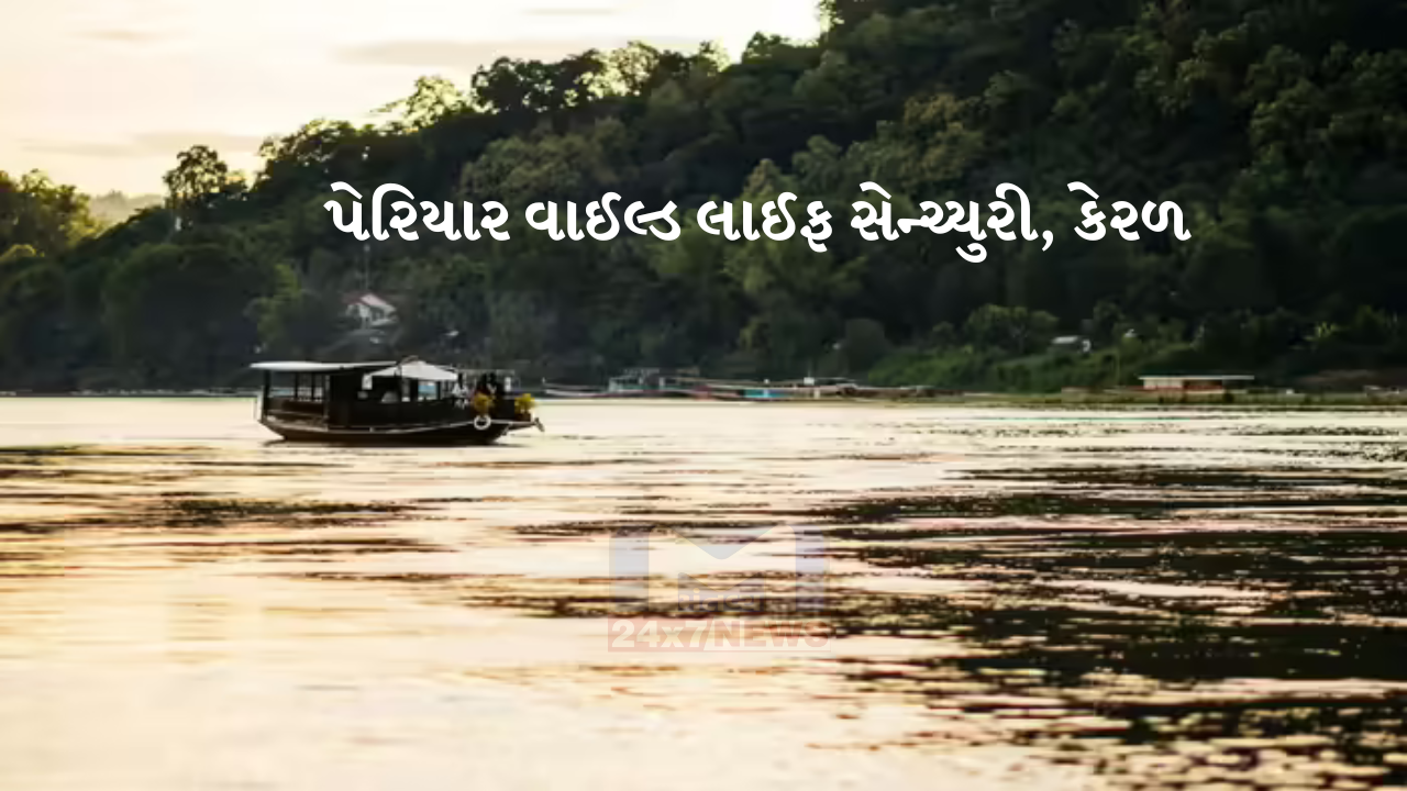 ભારતની 5 શ્રેષ્ઠ 'રિવર એન્ડ બોટ Safari '