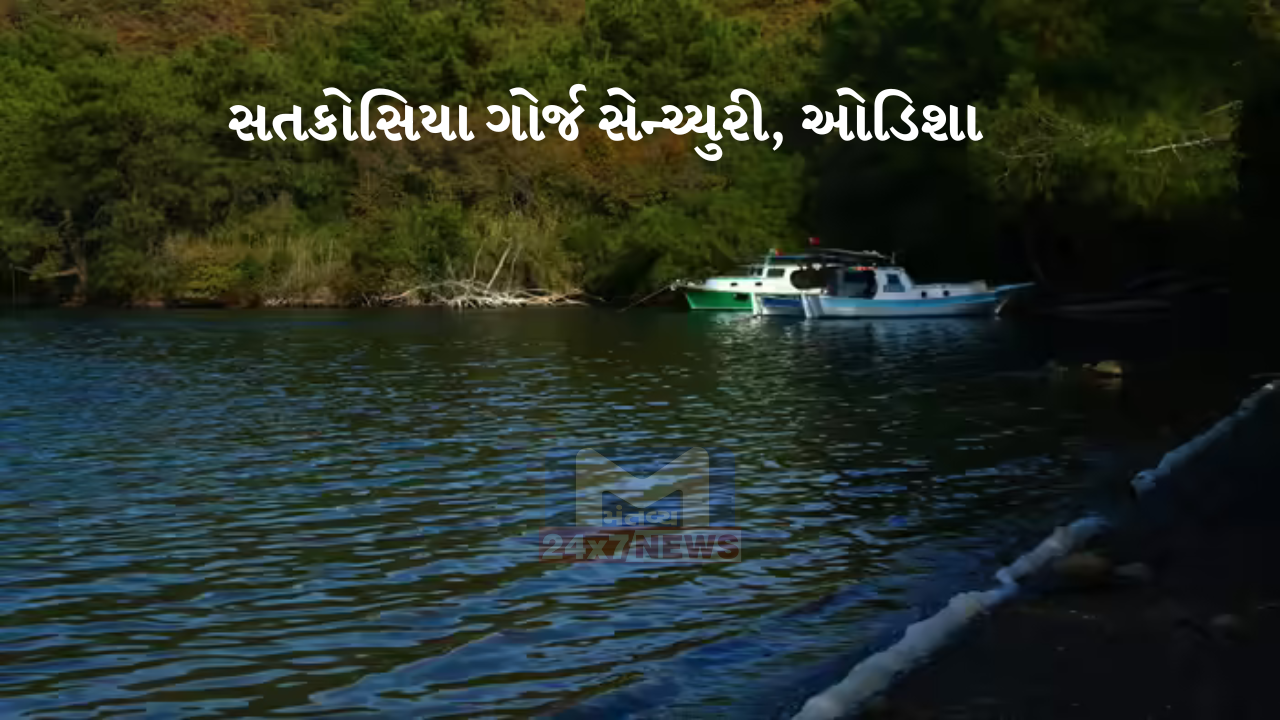 ભારતની 5 શ્રેષ્ઠ 'રિવર એન્ડ બોટ Safari '