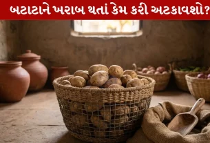 Potato Storage Tips, ઉનાળા, ગરમી, તાપમાન, ફ્રિઝ