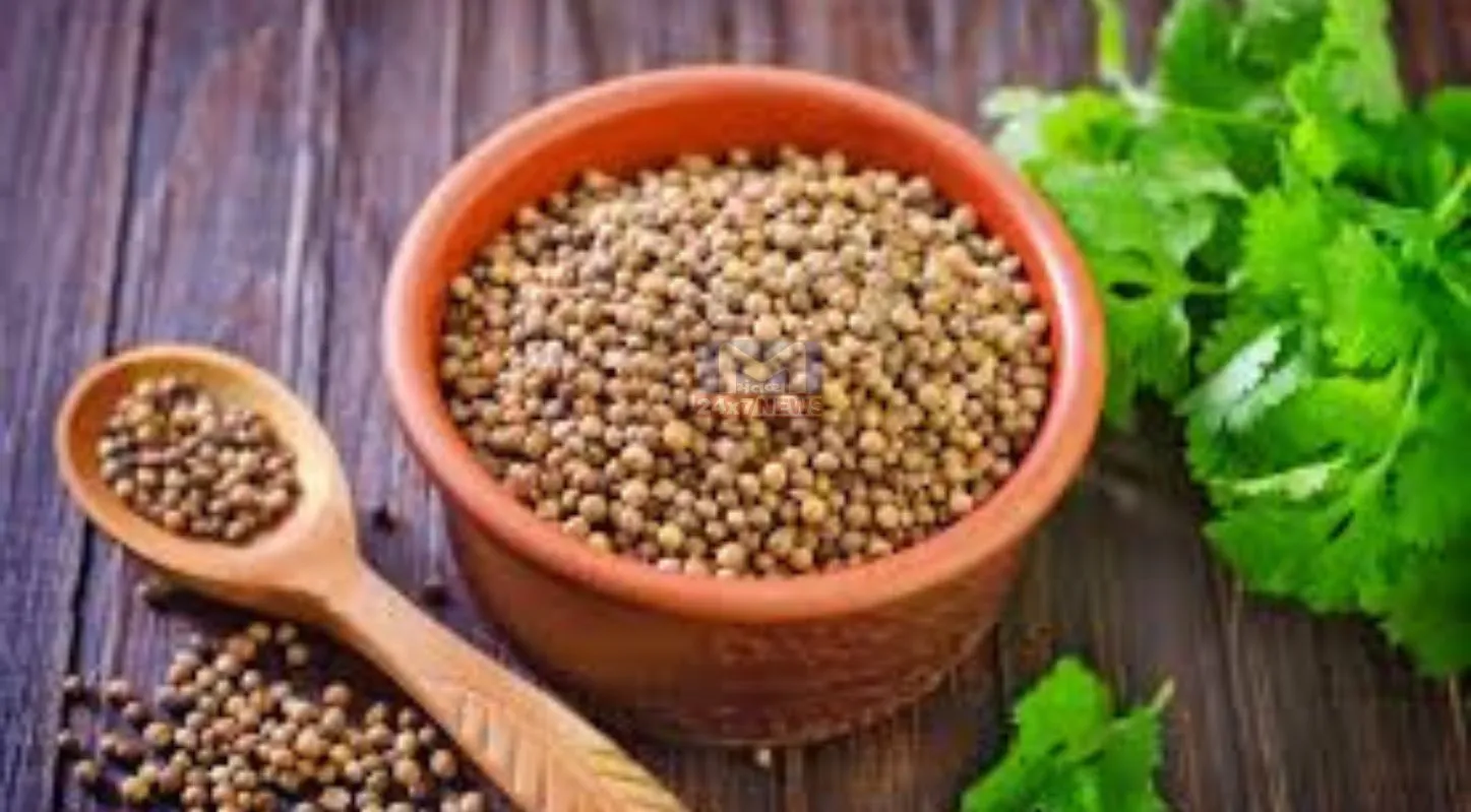 Coriander-Chilly, સૂકા ધાણા, મરચાંના બીયાં, કૂંડા