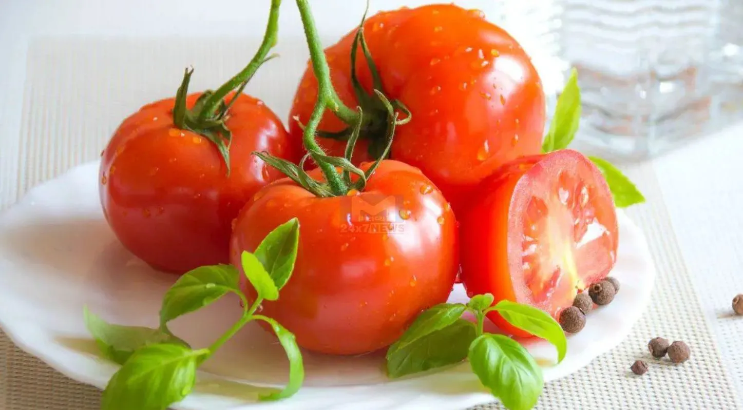 Tomato Raita, ઉનાળાની રેસિપી, ગરમી, પેટને રાહત, ડિહાઇડ્રેશન
