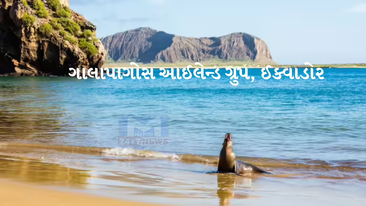 Tourism