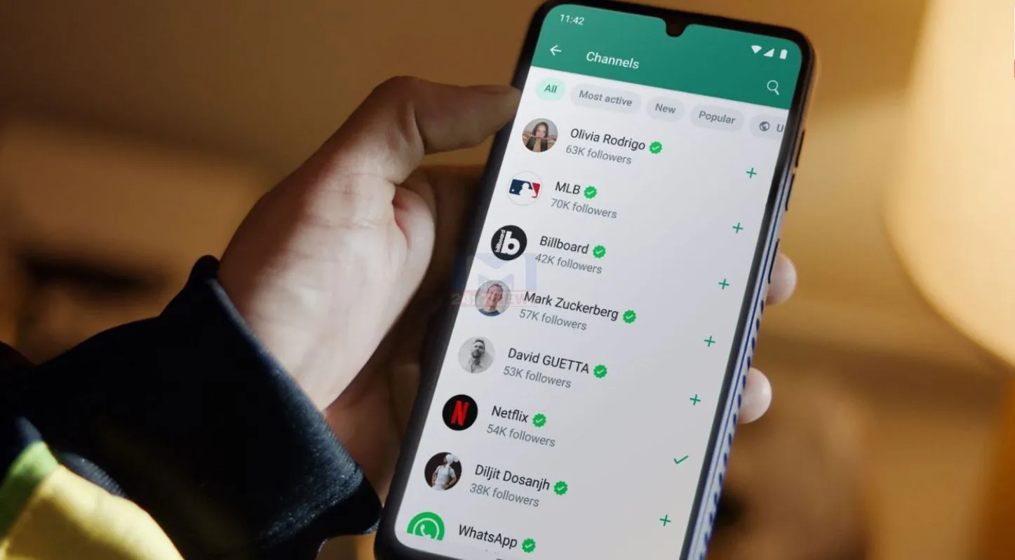 WhatsApp, નવું ફીચર,કૉલિંગ, એપ કંટ્રોલ