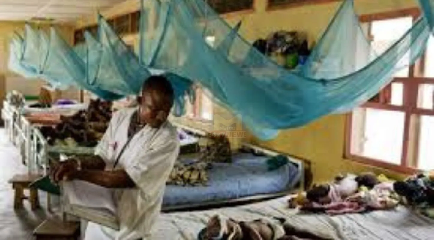 World Malaria Day, બીમારી, માદા મચ્છર, બીમારી, 25 April 2026