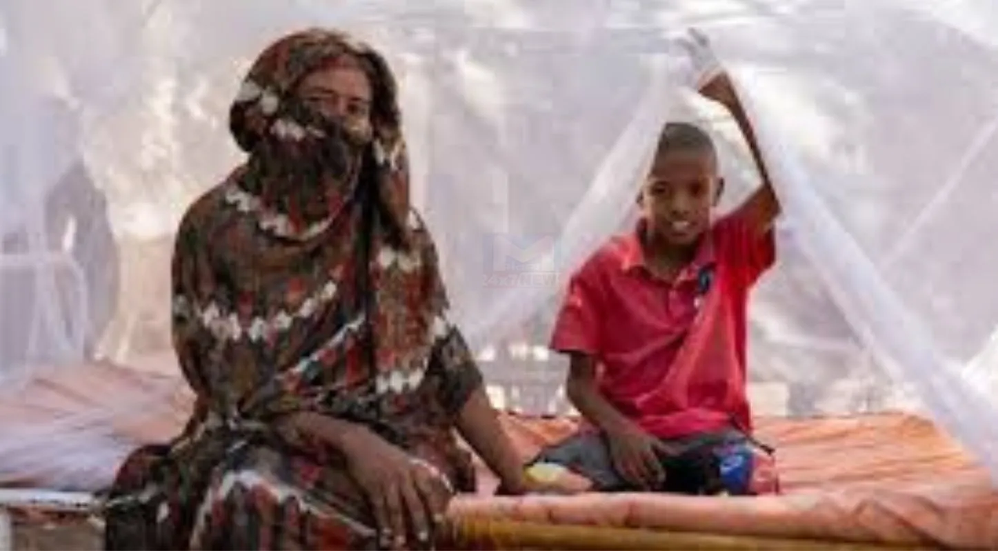 World Malaria Day, બીમારી, માદા મચ્છર, બીમારી, 25 April 2026
