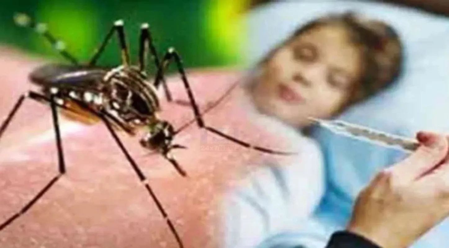 World Malaria Day, બીમારી, માદા મચ્છર, બીમારી, 25 April 2026