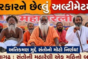 જૂનાગઢ ખાતે આવેલ ગિરનાર(Girnar) પર્વતના સંરક્ષણ મુદ્દે આજે વિશાળ ધર્મસભા અને રેલી(Rally)નું આયોજન કરવામાં આવ્યું હતું