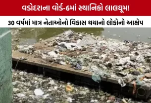 Vadodara Municipal Corporation Election