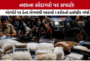 Ahmedabad Airport Drugs Raid
