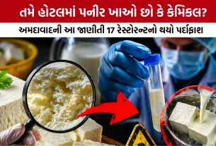 Fake Paneer in Ahmedabad