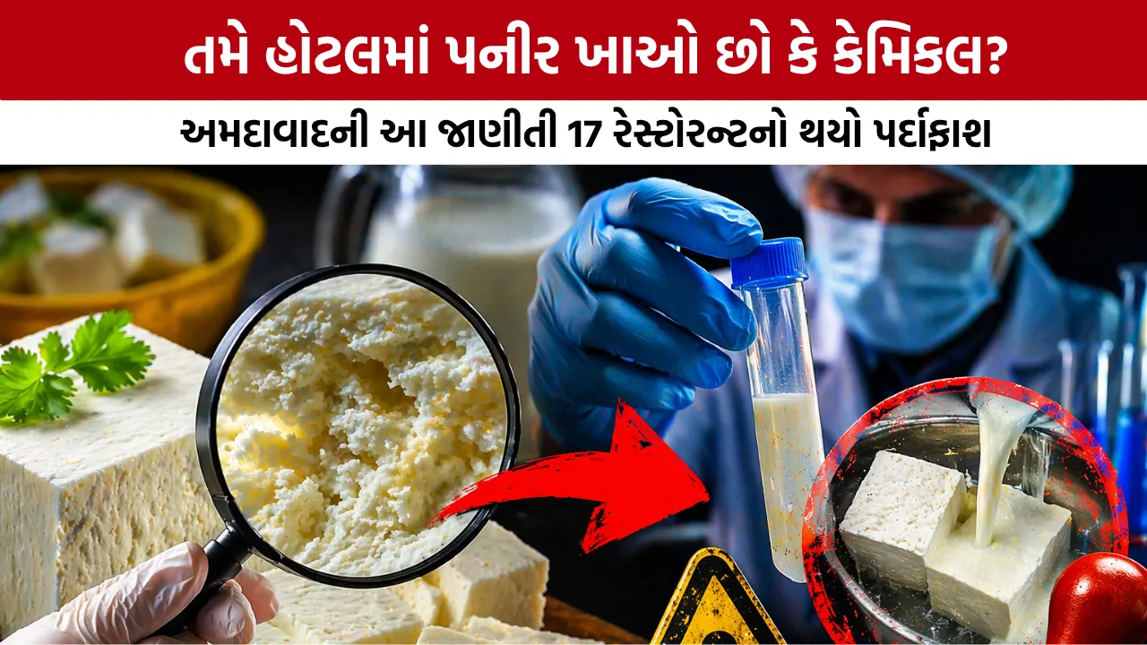 Fake Paneer in Ahmedabad