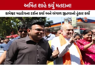 Amit Shah Voting Ahmedabad