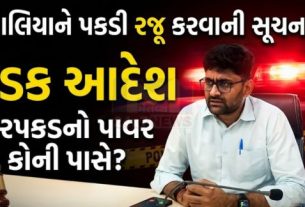 મહેસાણા ખાતે ગોપાલ ઈટાલિયા(Gopal Italia) વિરુદ્ધ ધરપકડ વોરંટ જારી કરવામાં આવ્યું છે