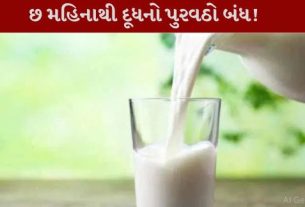 શાળાના બાળકોને મળતું દૂધ બંધ થઈ જતા હવે તેઓ પાવડર દૂધ (Powdered Milk)પર નિર્ભર બન્યા છે