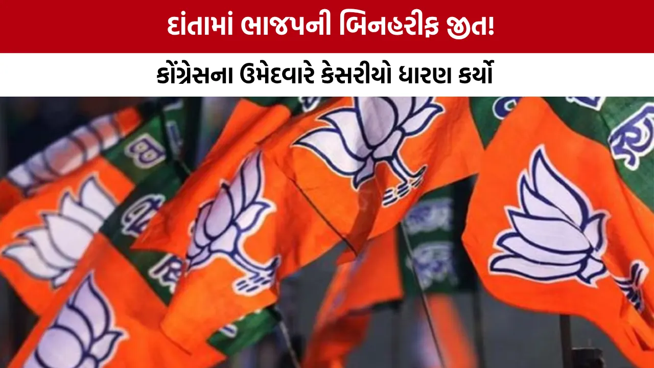 Danta Taluka Panchayat Election