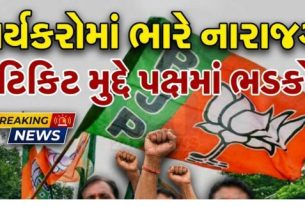 જુનાગઢ જિલ્લામાં રાજકીય ગરમાવો વધી રહ્યો છે, જ્યાં ભારતીય જનતા પાર્ટી (Bjp)માં આંતરિક અસંતોષ સપાટી પર આવતો દેખાઈ રહ્યો છે