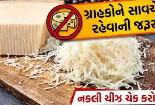 રાજકોટમાં નકલી પનીર(Fake Cheese)નો કાળો કારોબાર સામે આવ્યો છે