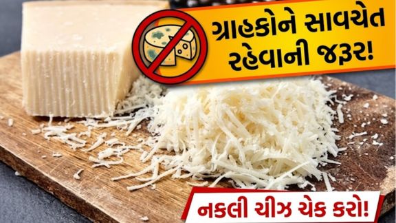 રાજકોટમાં નકલી પનીર(Fake Cheese)નો કાળો કારોબાર સામે આવ્યો છે