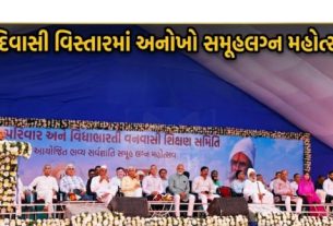 વિશ્વબંધુ પરિવાર અને વિદ્યાભારતી વનવાસી શિક્ષણ સમિતીના ઉપક્રમે આ સર્વજ્ઞાતિય સમૂહ લગ્ન-(Group Wedding)વિશ્વબંધુ પરિણય સંસ્કાર મહોત્સવનું આયોજન કરવામાં આવ્યુ હતુ.