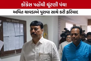 Congress Delegation Election Commission