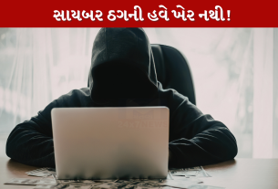 cyber fraud