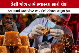 Mehsana Food Department Raid