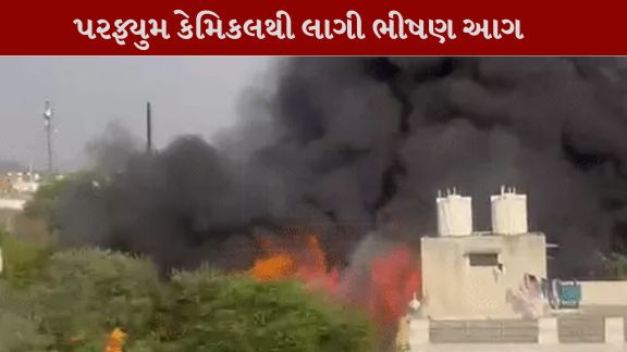 રાજસ્થાનના નીમરાણા (કોટપુતલી-બહરોડ) વિસ્તારમાં ગેરકાયદેસર ભંગારના ગોદામમાં ભયાનક આગ(Fire)ની ઘટના સામે આવી છે