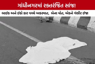 Gandhinagar G-0 Circle Accident