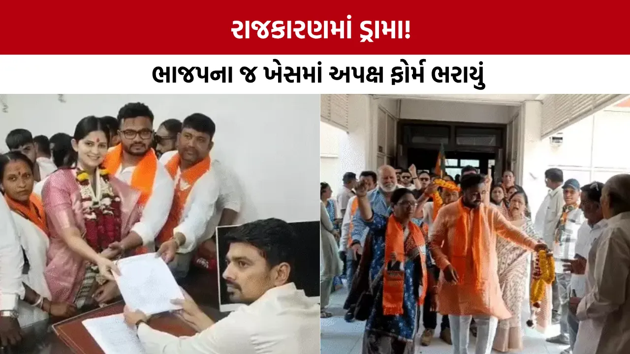 Gujarat Local Body Election