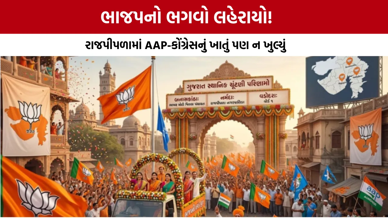 Gujarat Local Body Byelection Results