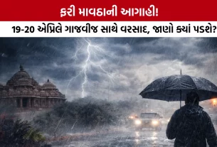 Unseasonal Rain Gujarat