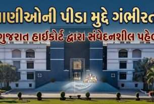 રાજ્યમાં ઉંદર પકડવા માટે ઉપયોગમાં લેવાતી જીવલેણ ‘ગ્લુ ટ્રેપ’ (Glue Trap)પર પ્રતિબંધ મુદ્દે ચાલી રહેલી સુનાવણી દરમિયાન ગુજરાત હાઈકોર્ટે સરકારની કાર્યશૈલી પર કડક વલણ અપનાવ્યું છે