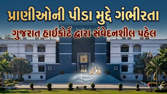 રાજ્યમાં ઉંદર પકડવા માટે ઉપયોગમાં લેવાતી જીવલેણ ‘ગ્લુ ટ્રેપ’ (Glue Trap)પર પ્રતિબંધ મુદ્દે ચાલી રહેલી સુનાવણી દરમિયાન ગુજરાત હાઈકોર્ટે સરકારની કાર્યશૈલી પર કડક વલણ અપનાવ્યું છે