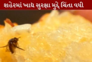 સુરધારા સર્કલ નજીક આવેલી એક પીઝા શોપમાં ગ્રાહકને ગાર્લિક બ્રેડમાં જીવડું (Insect)મળતાં હંગામો મચ્યો હતો
