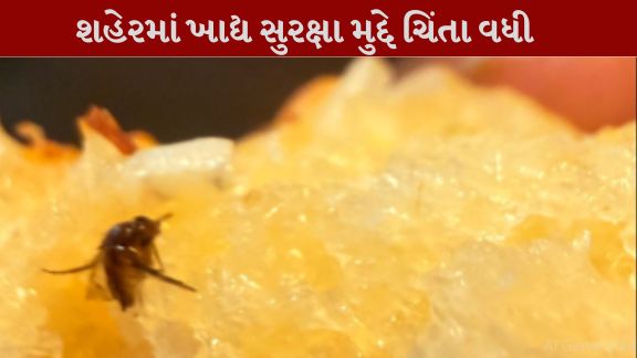 સુરધારા સર્કલ નજીક આવેલી એક પીઝા શોપમાં ગ્રાહકને ગાર્લિક બ્રેડમાં જીવડું (Insect)મળતાં હંગામો મચ્યો હતો