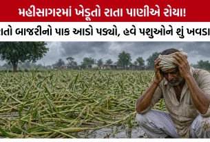 Mahisagar Unseasonal Rain