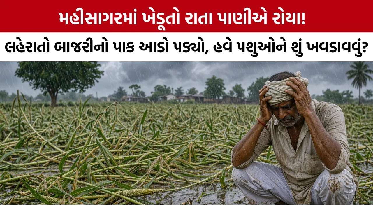 Mahisagar Unseasonal Rain