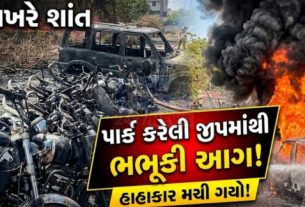 જૂનાગઢ શહેરના મેઘાણીનગર વિસ્તારમાં બપોરના સમયે ભીષણ આગ(Fire)ની ઘટના સામે આવી હતી