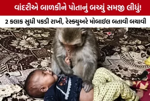 Monkey holding baby Muzaffarnagar