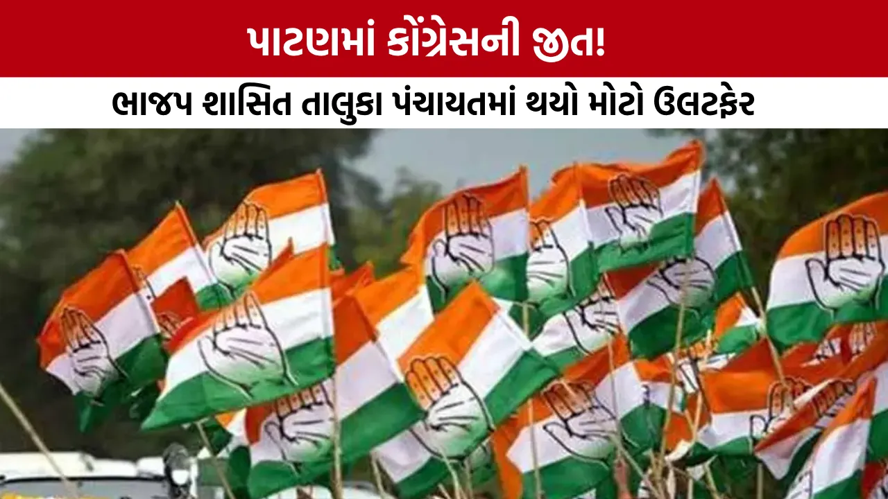 Patan Taluka Panchayat Election Result