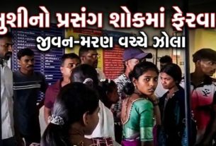 વલસાડ જિલ્લાના કપરાડા તાલુકાના વીરક્ષેત્ર નજીક એક ભયાનક માર્ગ અકસ્માત સર્જાયો છે, જેમાં પીકઅપ ગાડી પલટી જતા 6 લોકોના મોત(Dead) થયા છે,